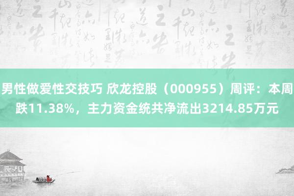 男性做爱性交技巧 欣龙控股（000955）周评：本周跌11.38%，主力资金统共净流出3214.85万元