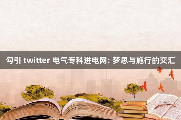 勾引 twitter 电气专科进电网: 梦思与施行的交汇