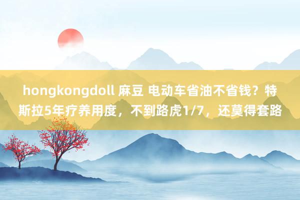 hongkongdoll 麻豆 电动车省油不省钱？特斯拉5年疗养用度，不到路虎1/7，还莫得套路