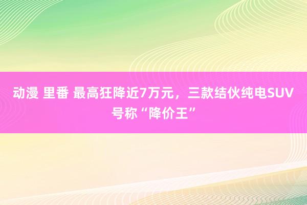 动漫 里番 最高狂降近7万元，三款结伙纯电SUV号称“降价王”