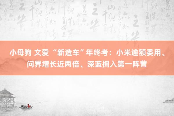 小母狗 文爱 “新造车”年终考：小米逾额委用、问界增长近两倍、深蓝拥入第一阵营