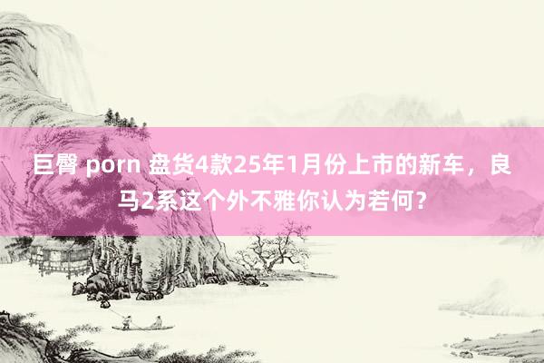 巨臀 porn 盘货4款25年1月份上市的新车，良马2系这个外不雅你认为若何？