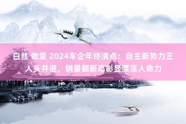 白丝 做爱 2024车企年终清点：自主新势力王人头并进，销量翻新高彰显漂荡人命力