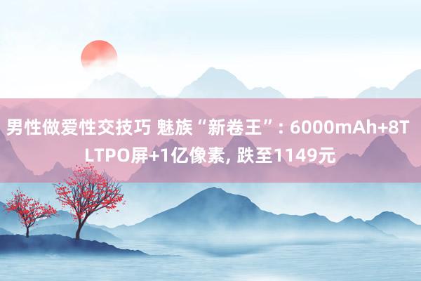 男性做爱性交技巧 魅族“新卷王”: 6000mAh+8T LTPO屏+1亿像素， 跌至1149元