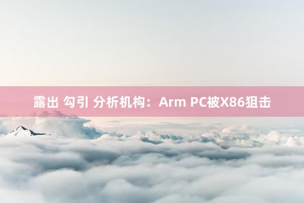 露出 勾引 分析机构：Arm PC被X86狙击