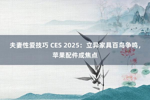 夫妻性爱技巧 CES 2025：立异家具百鸟争鸣，苹果配件成焦点