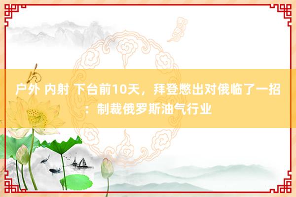 户外 内射 下台前10天，拜登憋出对俄临了一招：制裁俄罗斯油气行业