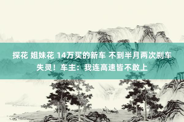 探花 姐妹花 14万买的新车 不到半月两次刹车失灵！车主：我连高速皆不敢上