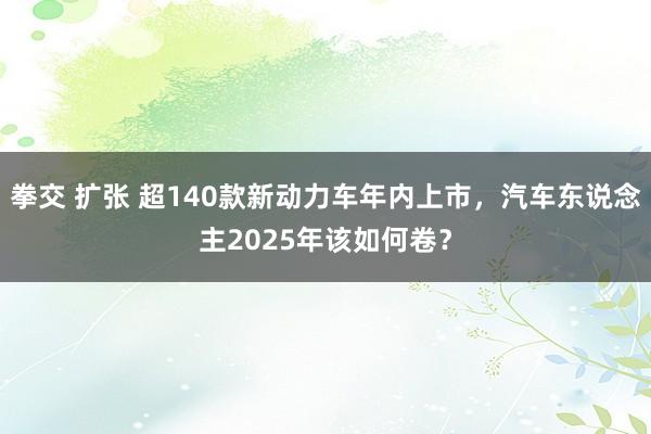 拳交 扩张 超140款新动力车年内上市，汽车东说念主2025年该如何卷？