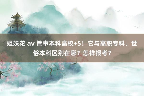 姐妹花 av 管事本科高校+5！它与高职专科、世俗本科区别在哪？怎样报考？