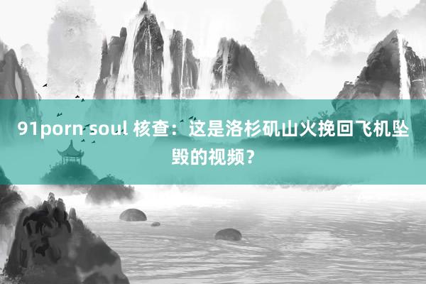 91porn soul 核查：这是洛杉矶山火挽回飞机坠毁的视频？