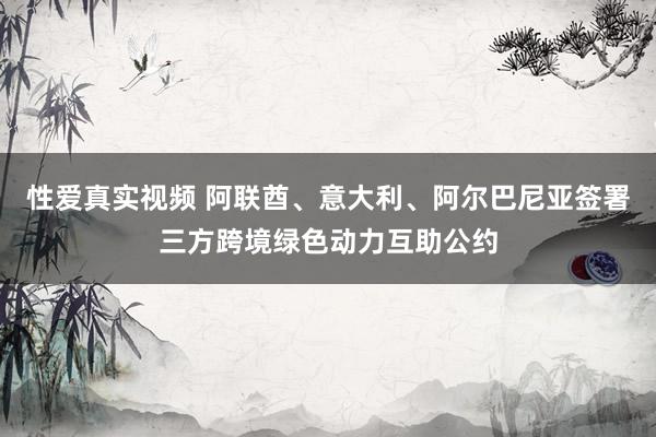 性爱真实视频 阿联酋、意大利、阿尔巴尼亚签署三方跨境绿色动力互助公约