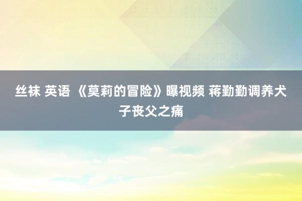 丝袜 英语 《莫莉的冒险》曝视频 蒋勤勤调养犬子丧父之痛